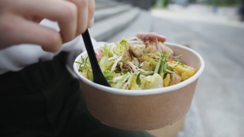 Osoba drži činiju sa svežom salatom od povrća i proteina